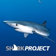 sharkproject